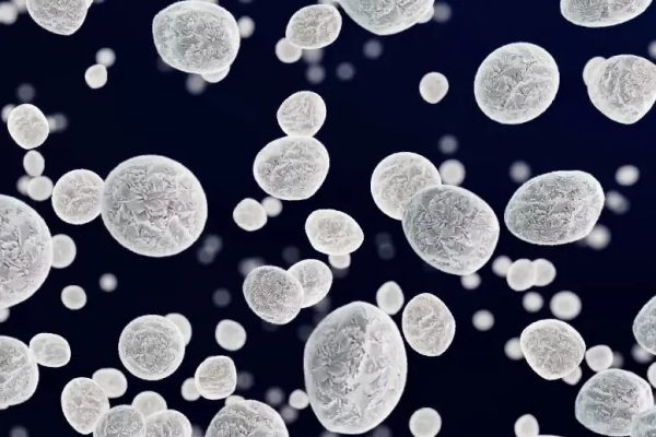 bevictorΰ¹ - Τ¹ٷվ